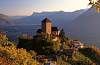 castel Tirolo (Tirolo-BZ-) 
 
Questo castello fu la residenza dei Conti del Tirolo che governavano pressoch in tutto il Sudtirol e parte del Trentino. Tra i pi importanti conti ricordiamo la contessa Margareta e il marito, il conte Monaldo